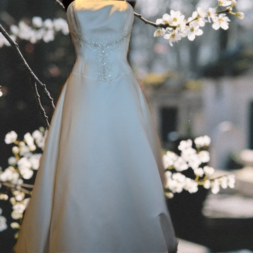 Ashley Jordan Bridal Wedding Gown Size 10